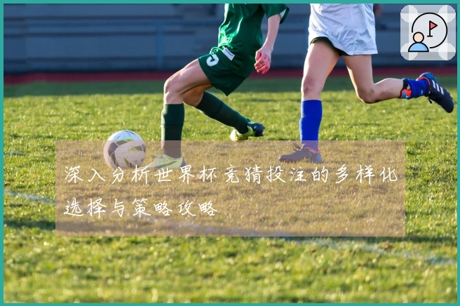 深入分析世界杯竞猜投注的多样化选择与策略攻略