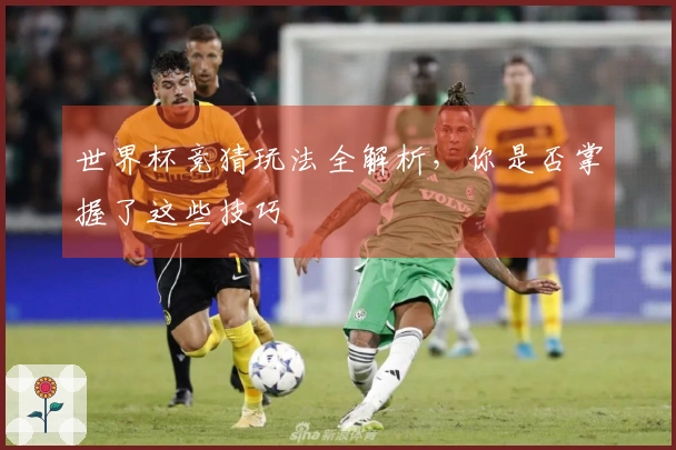 世界杯竞猜玩法全解析，你是否掌握了这些技巧