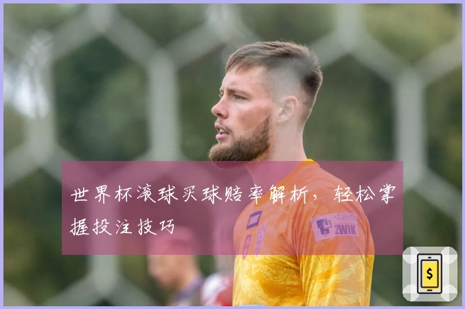 世界杯滚球买球赔率解析，轻松掌握投注技巧