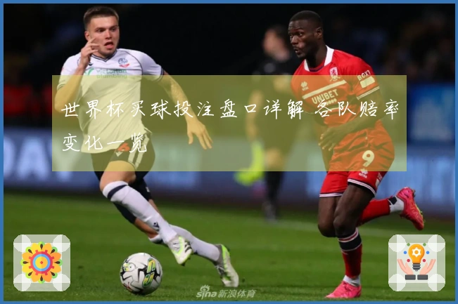 世界杯买球投注盘口详解 各队赔率变化一览