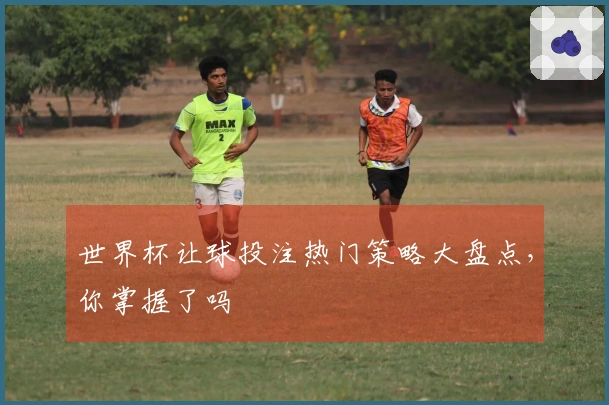 世界杯让球投注热门策略大盘点，你掌握了吗