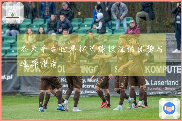 各大平台世界杯买球投注的优势与选择指南