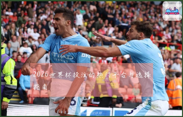 2026世界杯投注的热门平台与选择指南