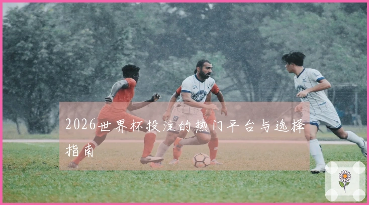 2026世界杯投注的热门平台与选择指南
