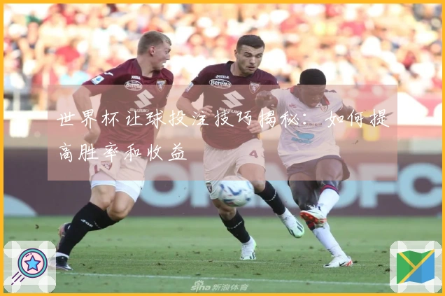 世界杯让球投注技巧揭秘：如何提高胜率和收益