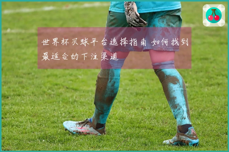 世界杯买球平台选择指南 如何找到最适合的下注渠道