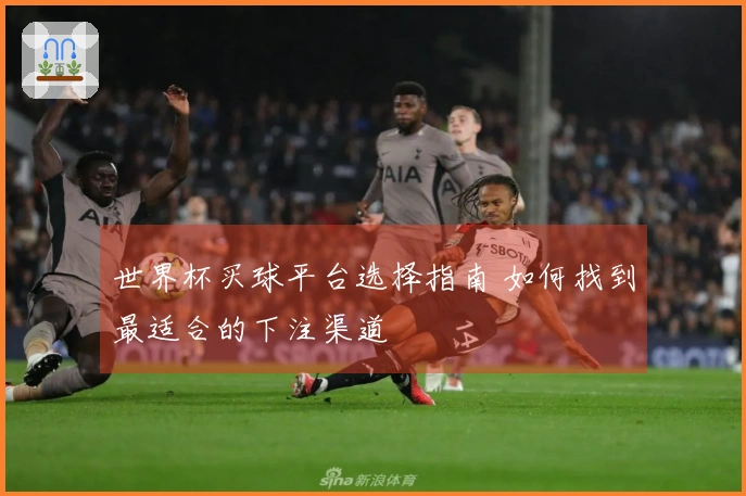 世界杯买球平台选择指南 如何找到最适合的下注渠道